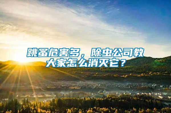跳蚤危害多，除蟲公司教大家怎么消滅它？