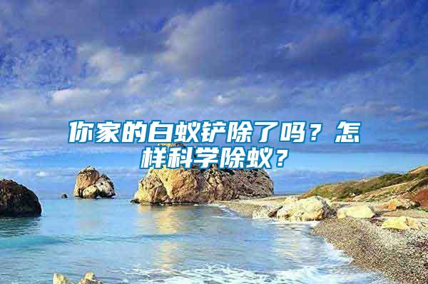 你家的白蟻鏟除了嗎？怎樣科學(xué)除蟻？