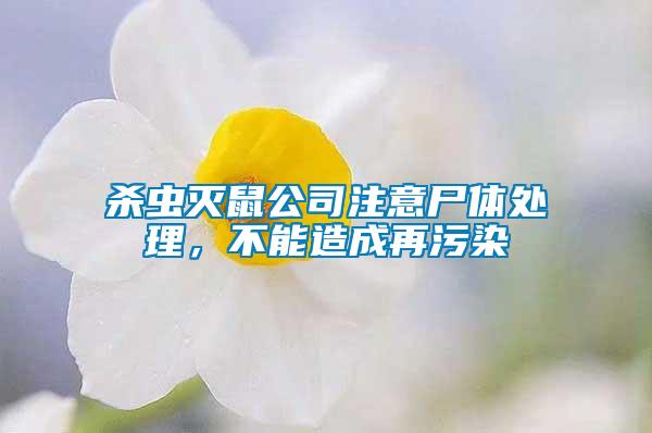 殺蟲滅鼠公司注意尸體處理,不能造成再污染