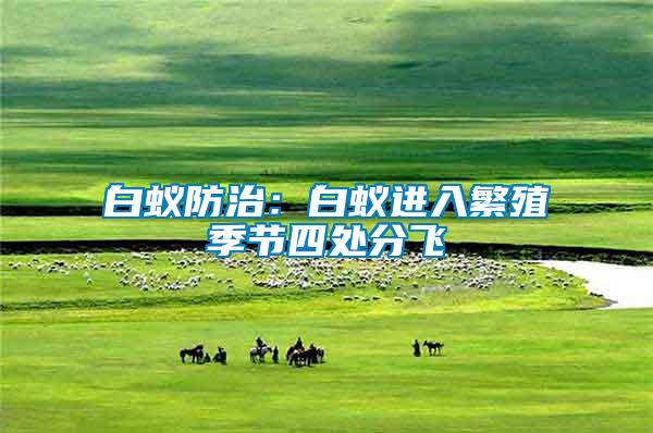 白蟻防治:白蟻進(jìn)入繁殖季節(jié)四處分飛