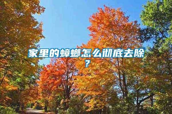 家里的蟑螂怎么徹底去除？