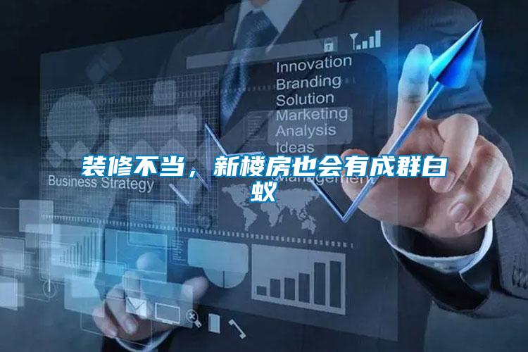 裝修不當，新樓房也會有成群白蟻