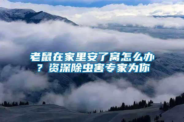 老鼠在家里安了窩怎么辦？資深除蟲害專家為你