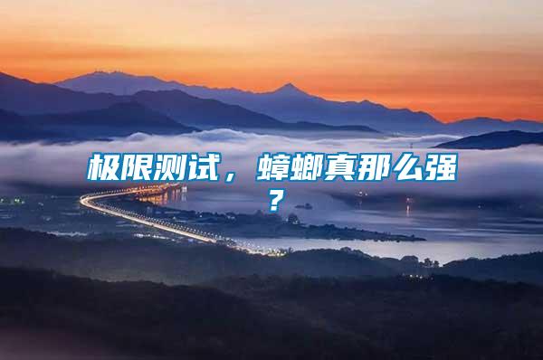 極限測試，蟑螂真那么強(qiáng)？