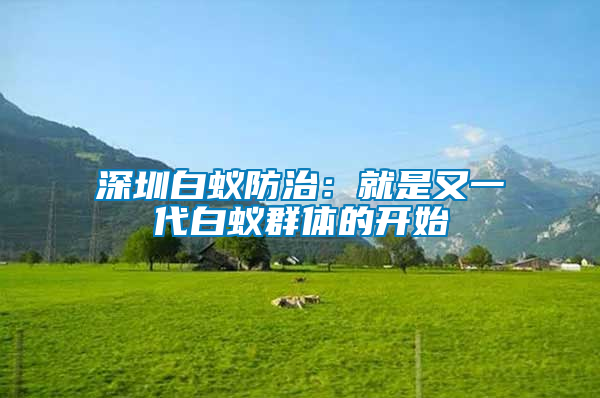 深圳白蟻防治:就是又一代白蟻群體的開始