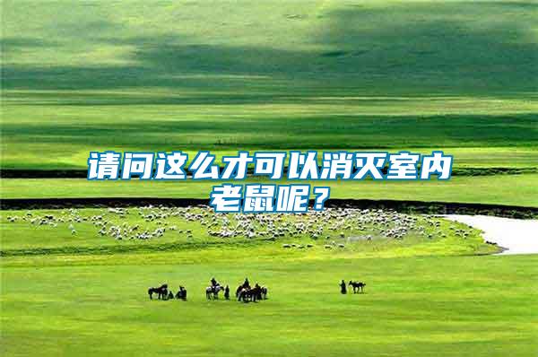 請問這么才可以消滅室內(nèi)老鼠呢?