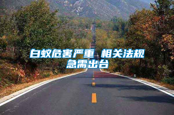 白蟻危害嚴重 相關法規(guī)急需出臺