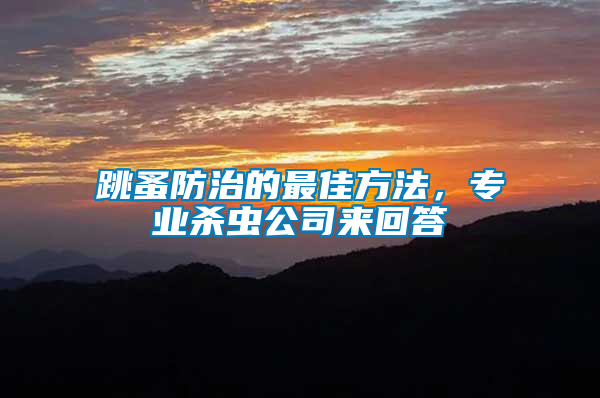 跳蚤防治的最佳方法，專業(yè)殺蟲公司來回答