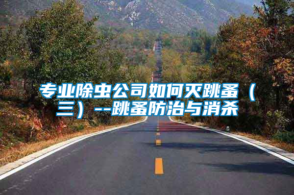 專業(yè)除蟲公司如何滅跳蚤(三)--跳蚤防治與消殺