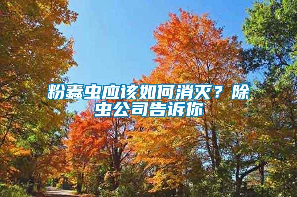 粉蠹蟲應該如何消滅？除蟲公司告訴你