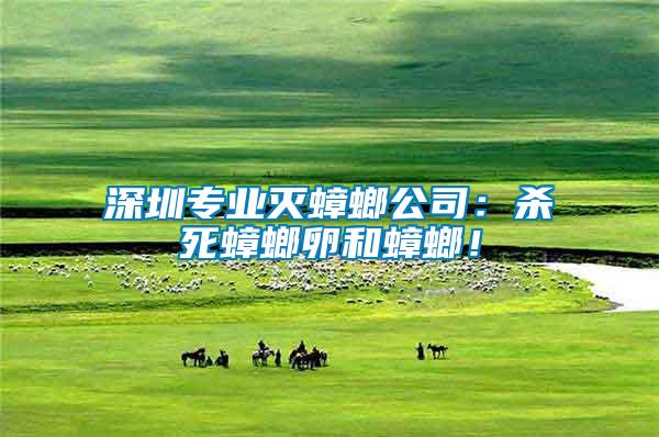 深圳專業(yè)滅蟑螂公司：殺死蟑螂卵和蟑螂！