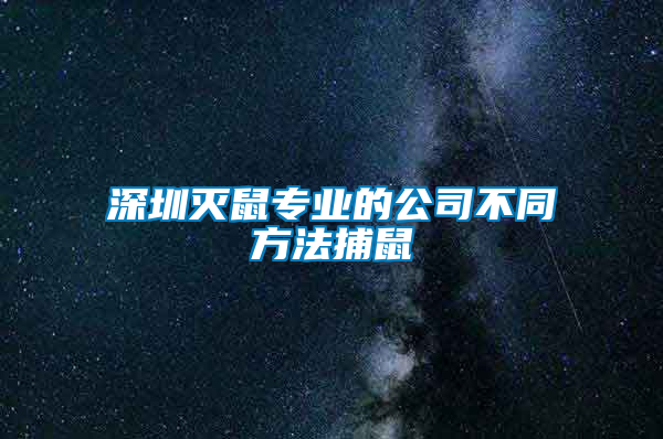 深圳滅鼠專(zhuān)業(yè)的公司不同方法捕鼠