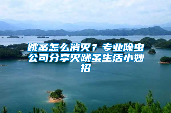 跳蚤怎么消滅？專業(yè)除蟲公司分享滅跳蚤生活小妙招