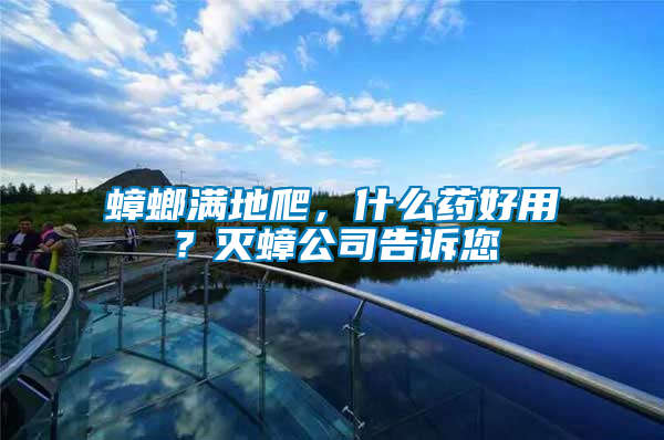 蟑螂滿(mǎn)地爬，什么藥好用？滅蟑公司告訴您