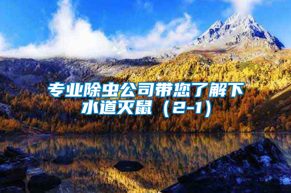 專業(yè)除蟲公司帶您了解下水道滅鼠(2-1)