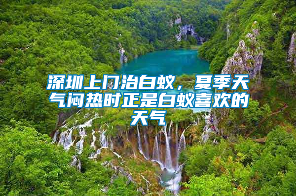 深圳上門(mén)治白蟻，夏季天氣悶熱時(shí)正是白蟻喜歡的天氣