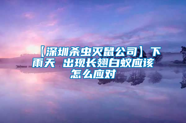 【深圳殺蟲滅鼠公司】下雨天 出現(xiàn)長翅白蟻應(yīng)該怎么應(yīng)對(duì)