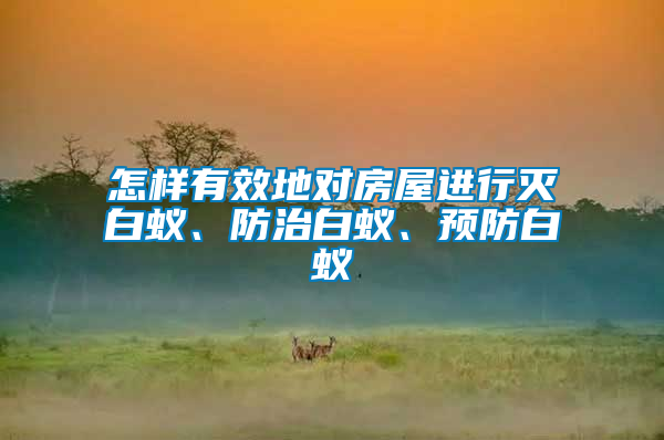 怎樣有效地對房屋進(jìn)行滅白蟻、防治白蟻、預(yù)防白蟻