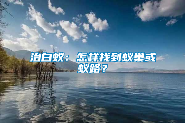 治白蟻:怎樣找到蟻巢或蟻路?