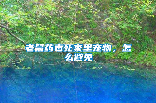 老鼠藥毒死家里寵物，怎么避免