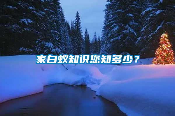 家白蟻知識(shí)您知多少?