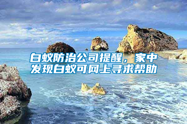 白蟻防治公司提醒,家中發(fā)現(xiàn)白蟻可網(wǎng)上尋求幫助